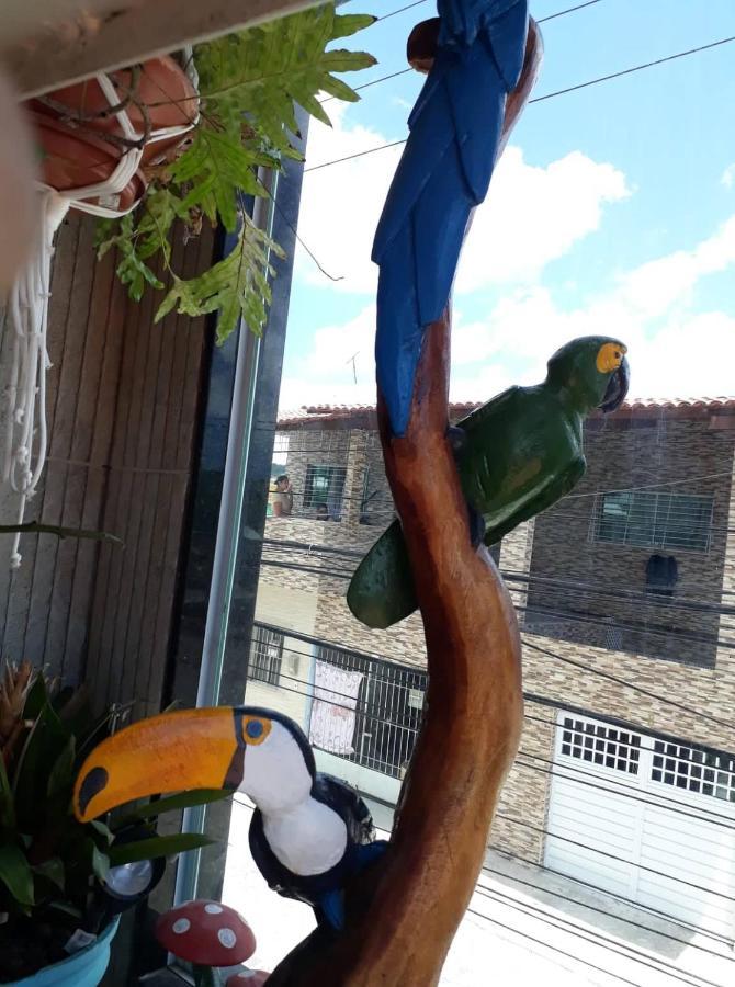 Homestay Florcamara