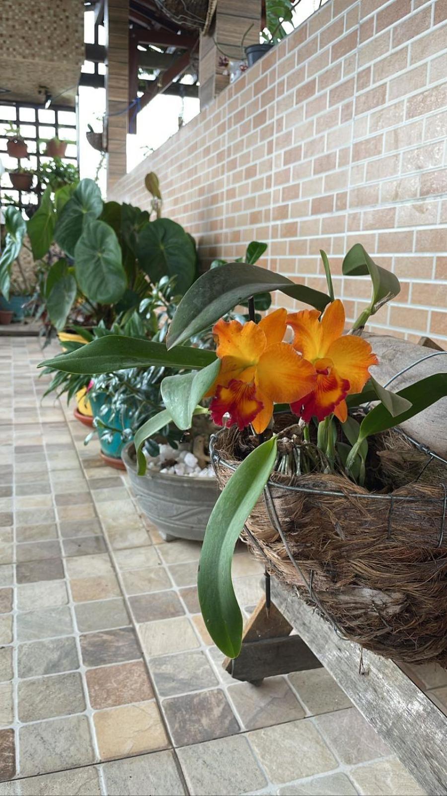 Homestay Florcamara Camaragibe