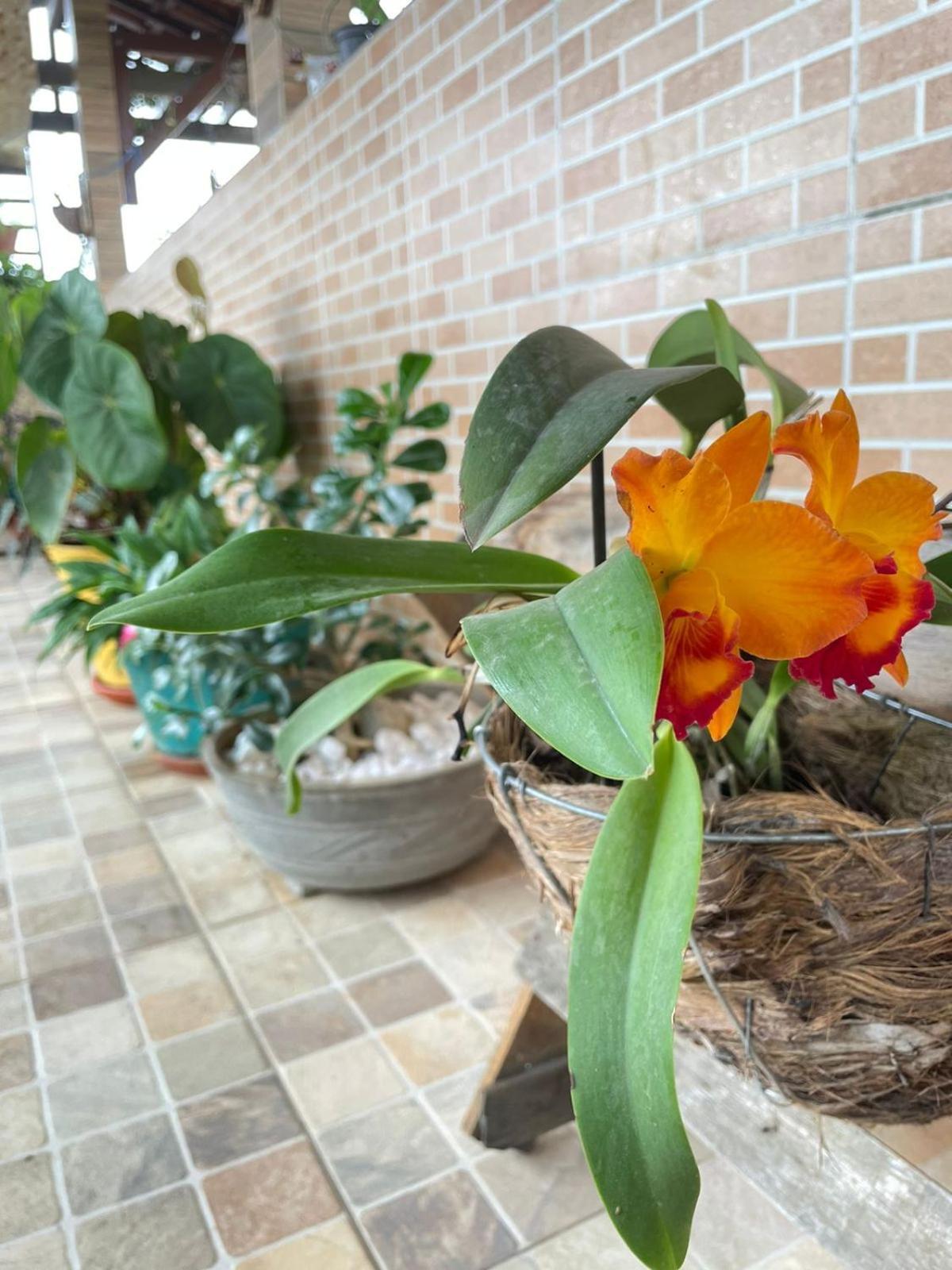 Florcamara Homestay Camaragibe